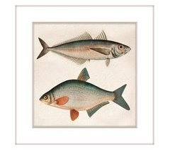 Cuadro PECES 42x42cm marca MARCOMUEBLE 