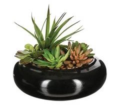 WELL HOME - Composición de centro con surtido de plantas