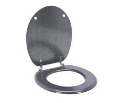 Well Home Asiento de Inodoro con tapa