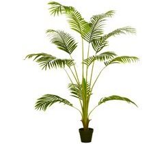 Planta Artificial PEVA, PE, PP, Cemento