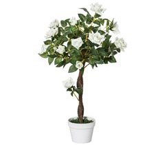 Árbol de Rosa Blanca Artificial PE, PP, Cemento y Tejido Outsunny