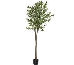 Olivo artificial