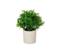 Planta floral VERDE en maceta de cemento 21cm surtido 