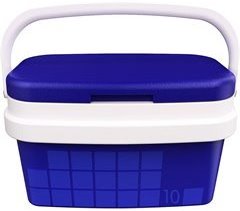 Nevera Portátil con Asa Rígida - Capacidad 10L
