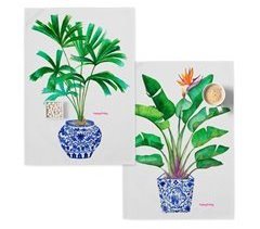 Porcelain Paños de cocina