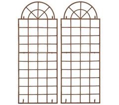Set de 2 vallas metálicas viva para plantas trepadoras