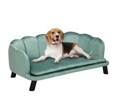 Sofá para Perros Terciopelo, Espuma, Madera de Abedul PawHut