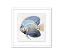 Cuadro PEZ TROPICAL 42x42cm marca MARCOMUEBLE 