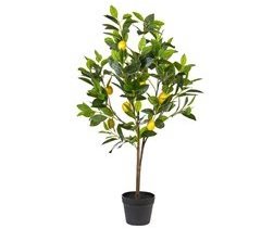Beliani Planta artificial Árbol Limonero