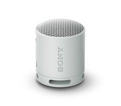 Altavoz Bluetooth Portátil SRS-XB100