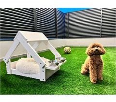 Caseta para Perro color Blanco