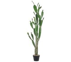 Beliani Planta artificial OPUNTIA CACTUS