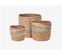 Cesta WILLOW