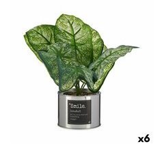 Planta Decorativa