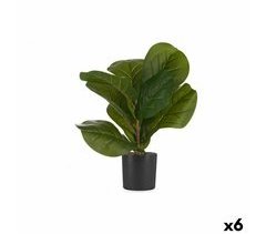 Planta Decorativa