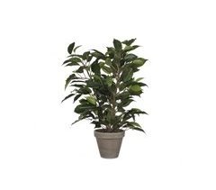 Planta artificial FICUS verde oscuro marca MYCA