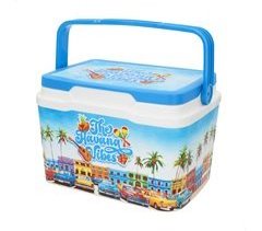 Aktive Nevera rígida de playa 5 litros Summer Trends