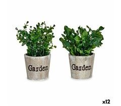 Planta Decorativa