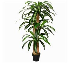 Planta Dracaena Artificial PE, PP, Cemento Outsunny