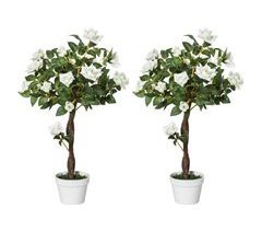 Rosas Artificiales PE Outsunny, hogar - decoración