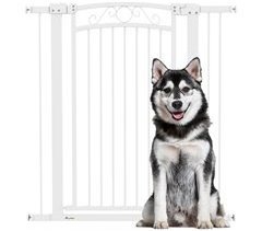 Barrera para Perros PawHut