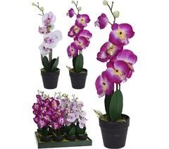 Planta artificial ORQUIDEA surtido