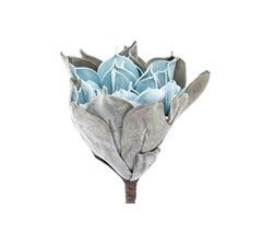 Flor Foam Adda Home
