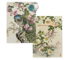 Japonais Paños de cocina