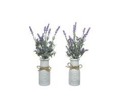 Planta LAVANDA 32cm colores surtidos
