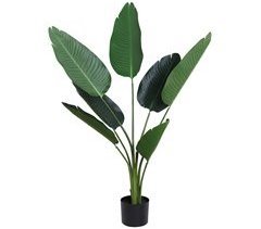 Planta Artificial PE, Cemento Outsunny