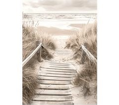 Canvas CAMINO PLAYA 50x70cm marca CONFORAMA