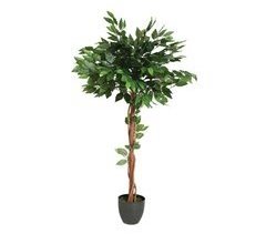 WELL HOME - Ficus artificial en maceta