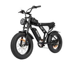 Ridstar Q20 Bicicleta Eléctrica - Motor 500W Batería 48V15AH