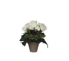Planta artificial BEGONIA con maceta blanco