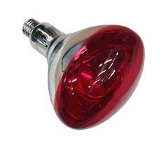 Bombilla de luz Infrarroja R125