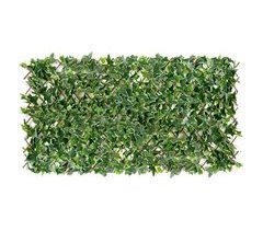 Planta Decorativa 1004012