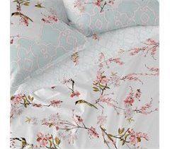 Sakura Bajera