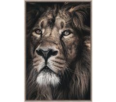 Canvas LEÓN MAJESTUOSO 60x90cm marca CONFORAMA
