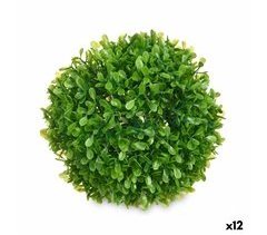 Planta Decorativa