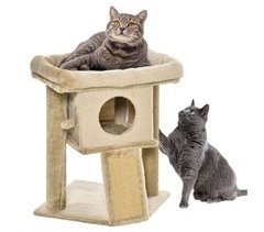 Árbol para Gatos Aglomerado de Madera, Felpa PawHut