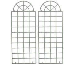 Set de 2 vallas metálicas viva para plantas trepadoras