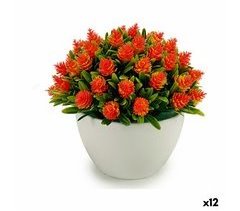 Planta Decorativa