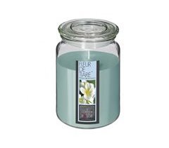 Vela aromática  510 gramos marca COMPTOIR DE LA BOUGIE