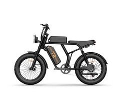 Bicicleta Eléctrica URLIFE T2  - 250W 48V 15.6Ah