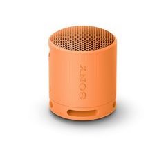 Altavoz Bluetooth Portátil SRS-XB100