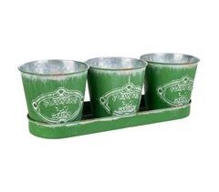 3 Cubos de metal y Bandeja