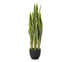 Planta Pvc Adda Home