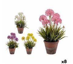 Planta Decorativa