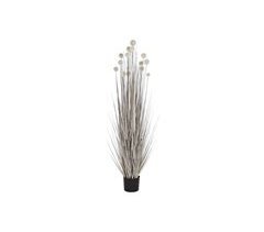 Planta Decorativa