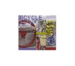 CUADRO BICICLETAS BIC